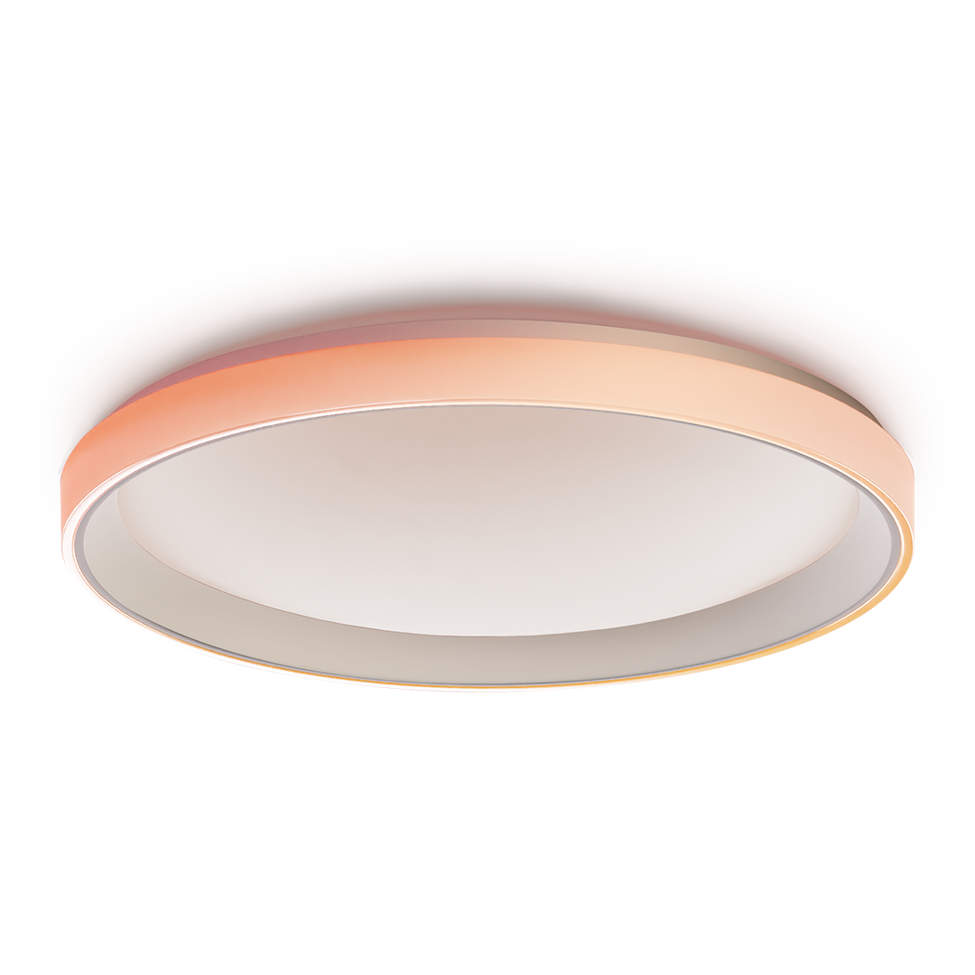 Aqara Ceiling Light T1M (Matter Supported, RGBIC Status Light Ring, Ultra Long Lifespan)
