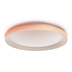 Aqara Ceiling Light T1M (Matter Supported, RGBIC Status Light Ring, Ultra Long Lifespan)