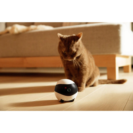 Enabot Ebo-Air Interactive Pet Companion, AI-powered Moving Cam For Indoor Security