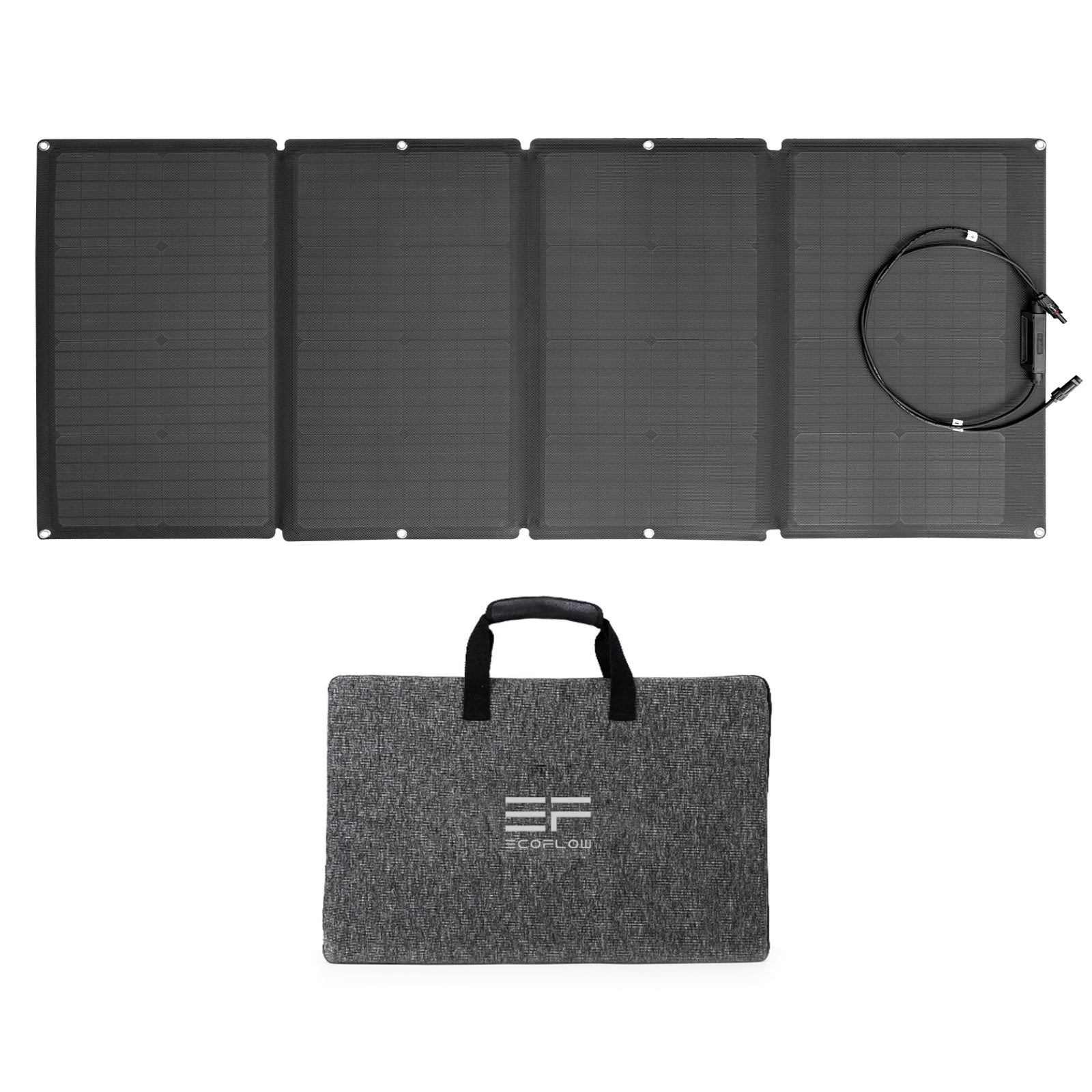 EcoFlow 160W Solar Panel